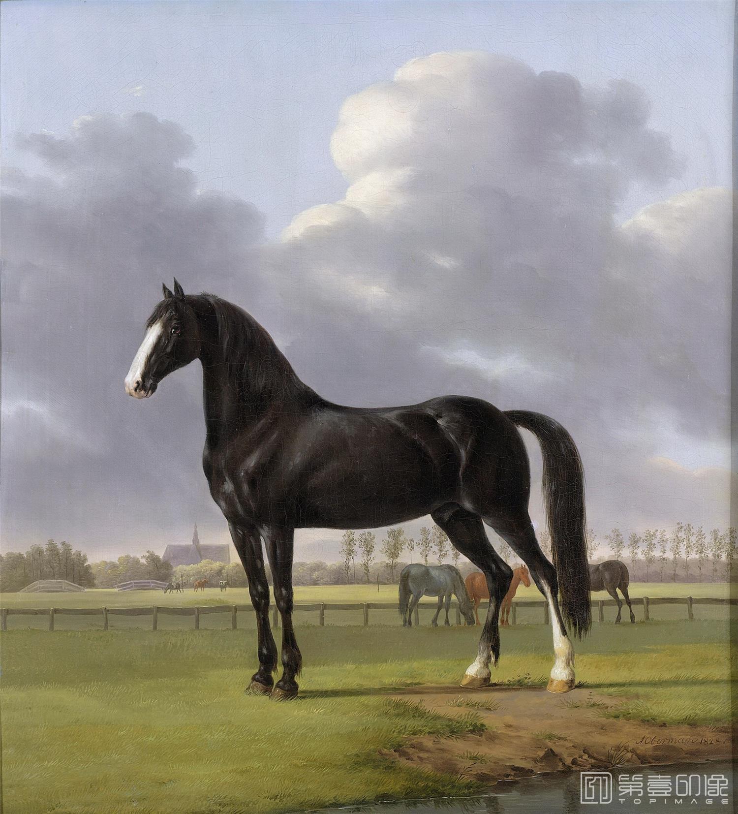 油画-荷兰阿姆斯特丹国家美术馆-Oberman Anthony De harddraver ’de Vlugge’ van Adriaan van der Hoop in de weide 1828-1138